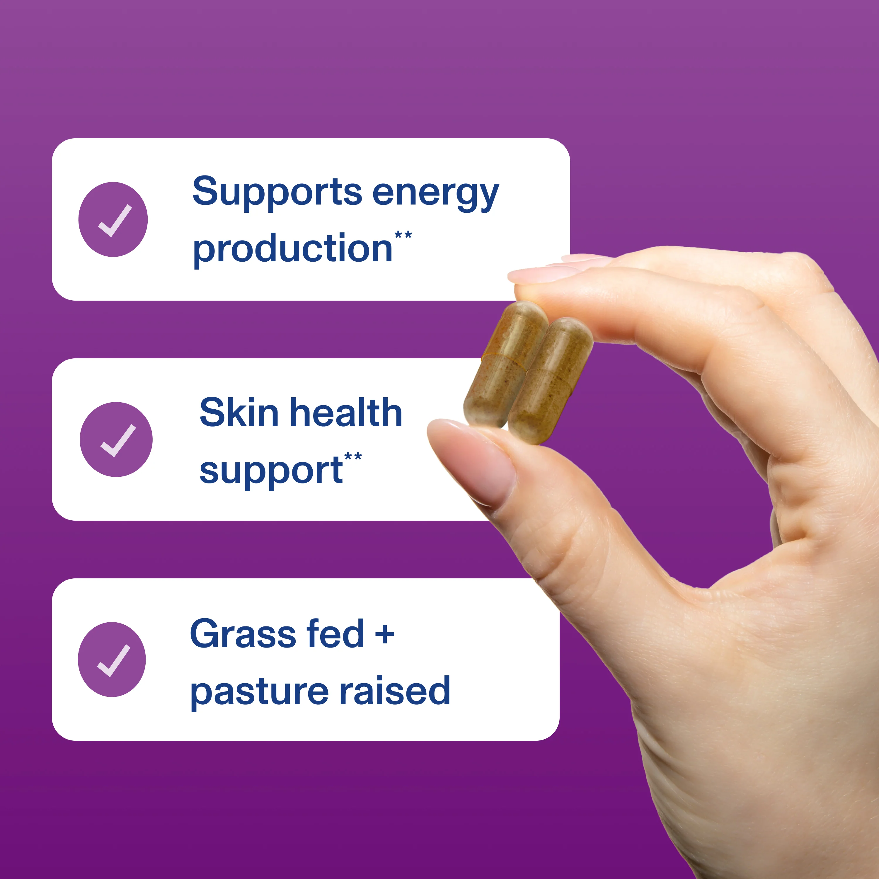 Beef Liver - Capsules - Image 6