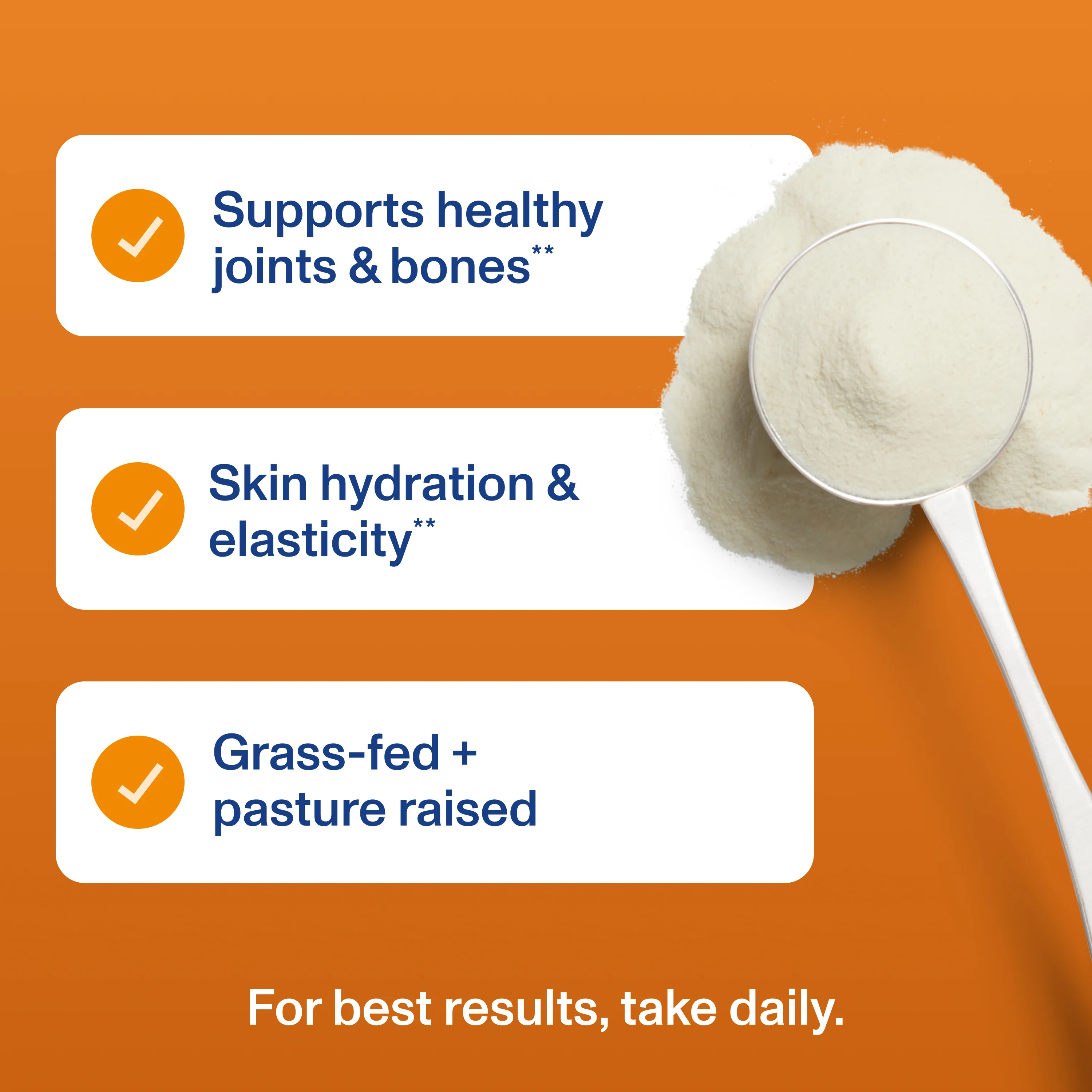 Pumpkin Spice Collagen Peptides - Image 5
